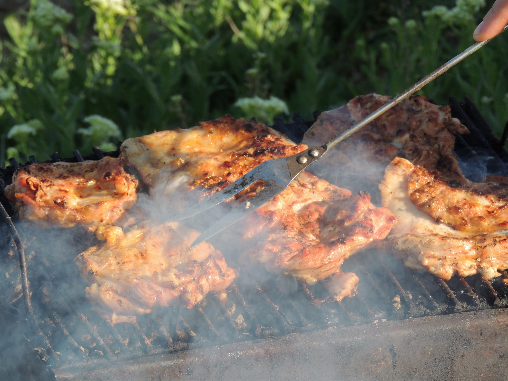 Sulimanu 1 - 3 mai. - Cel mai bun gratar e cel de pe balta